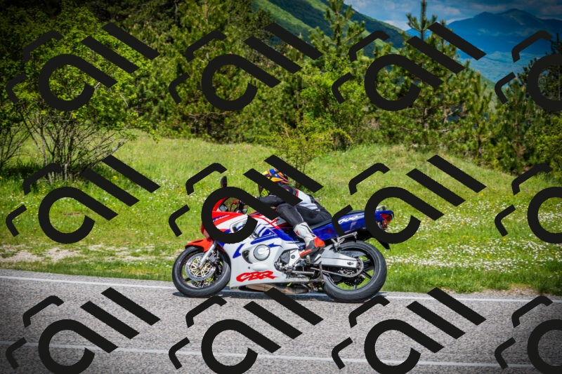 202505171024-DSC04117_c1_