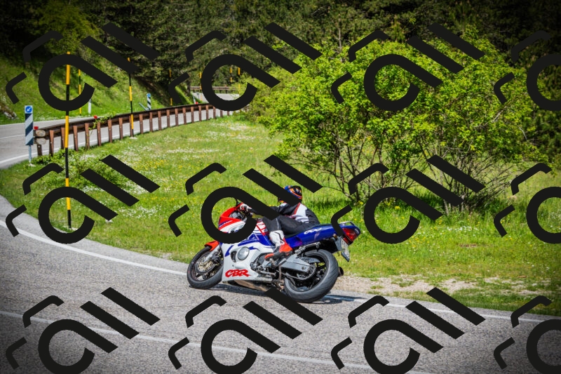 202505171024-DSC04118_c1_