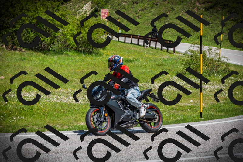 202505171025-DSC04121_c1_