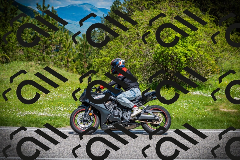 202505171025-DSC04122_c1_