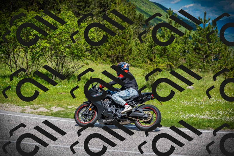 202505171025-DSC04123_c1_