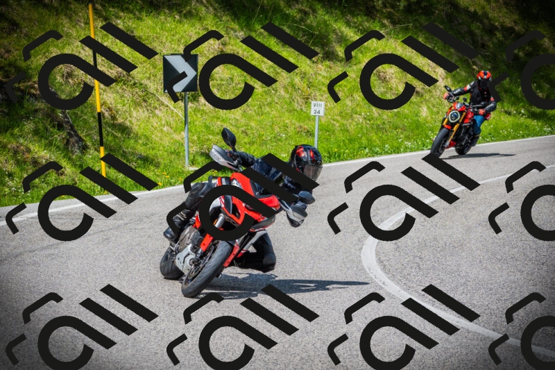 202505171025-DSC04125_c1_