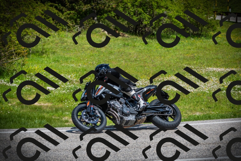 202505171026-DSC04135_c1_