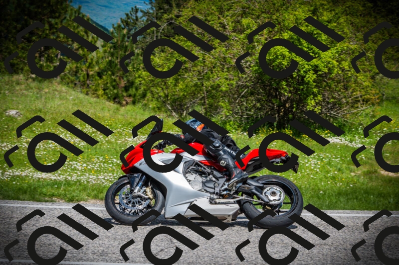 202505171026-DSC04147_c1_