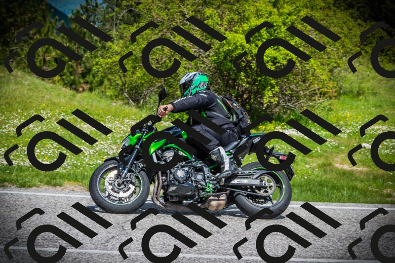 202505171027-DSC04165_c1_