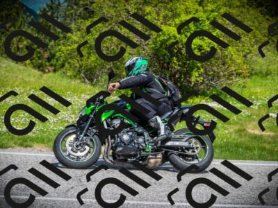 202505171027-DSC04165_c1_