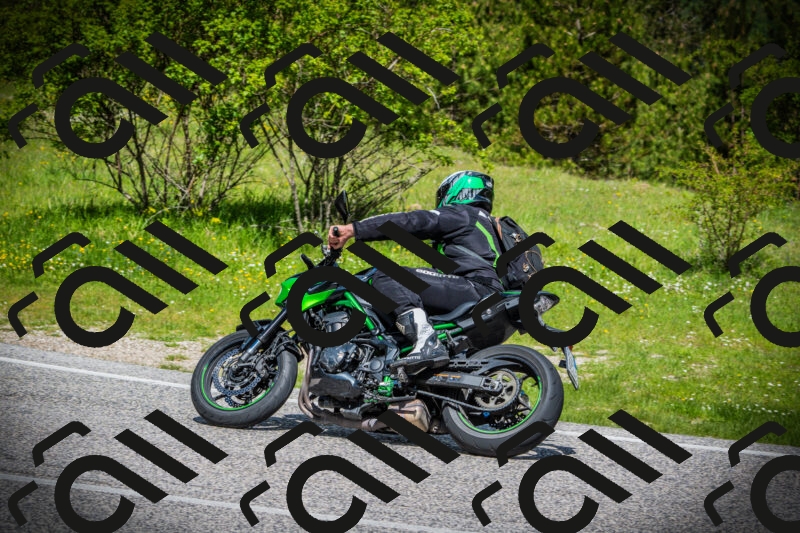 202505171027-DSC04166_c1_