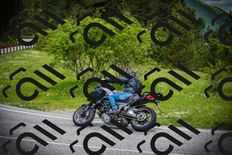 202505171029-DSC04191_c1_