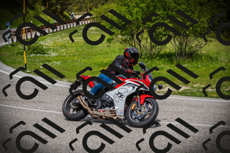 202505171029-DSC04198_c1_