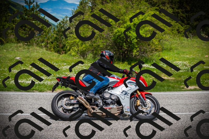 202505171029-DSC04199_c1_