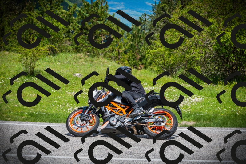 202505171030-DSC04208_c1_