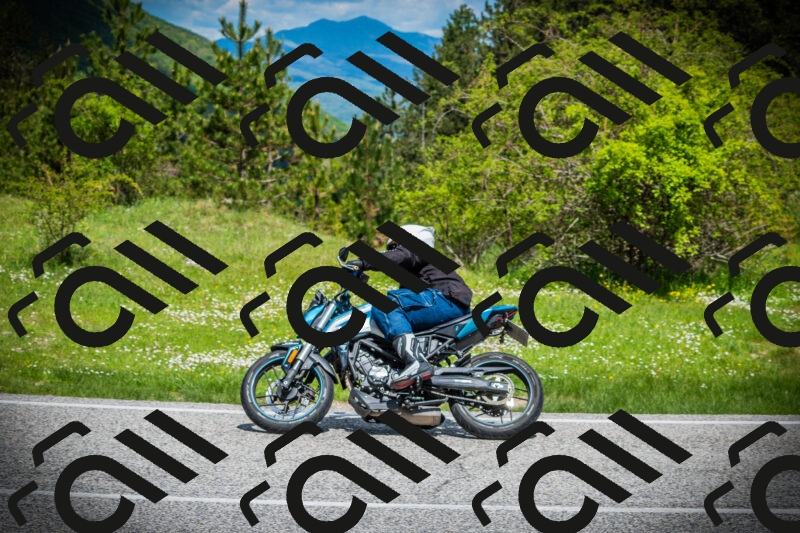 202505171030-DSC04214_c1_