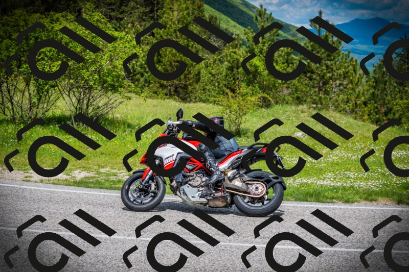 202505171032-DSC04233_c1_