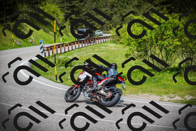 202505171032-DSC04234_c1_