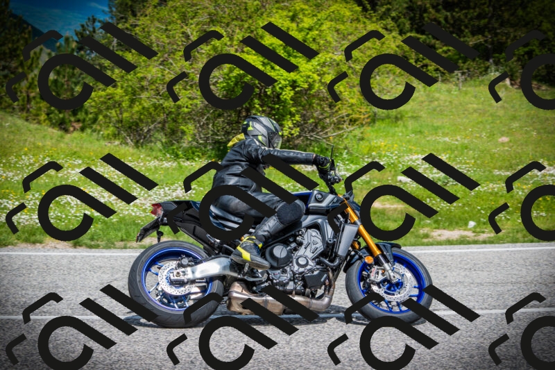 202505171035-DSC04247_c1_