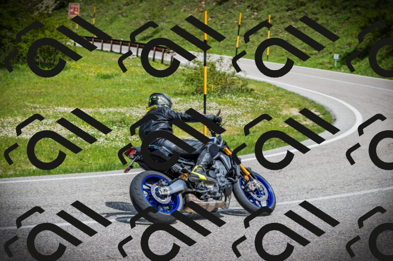 202505171035-DSC04248_c1_