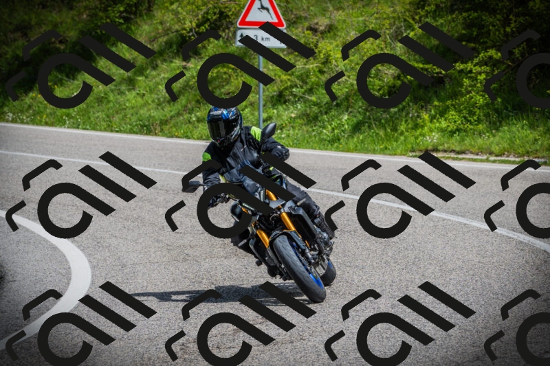 202505171035-DSC04251_c1_