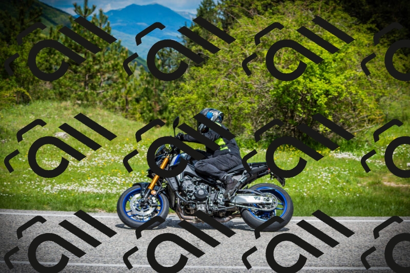 202505171036-DSC04253_c1_