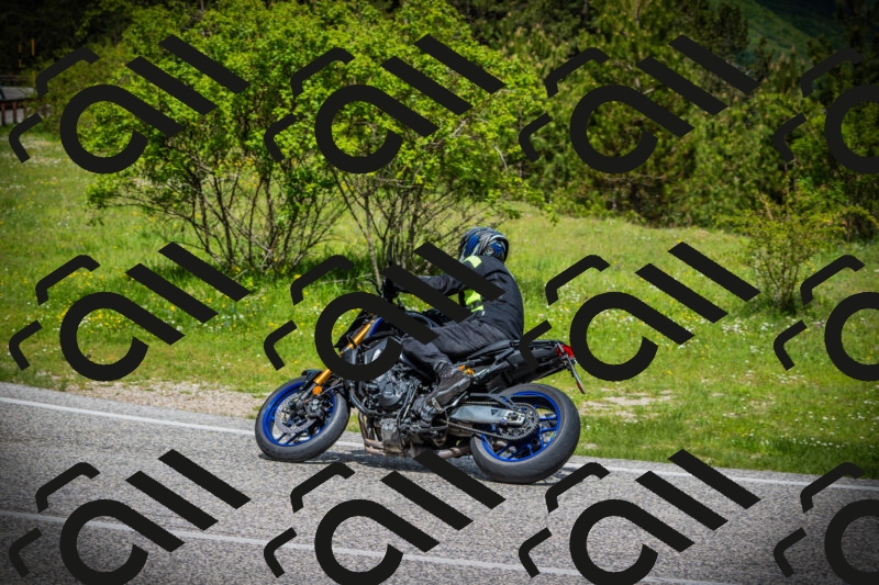 202505171036-DSC04254_c1_