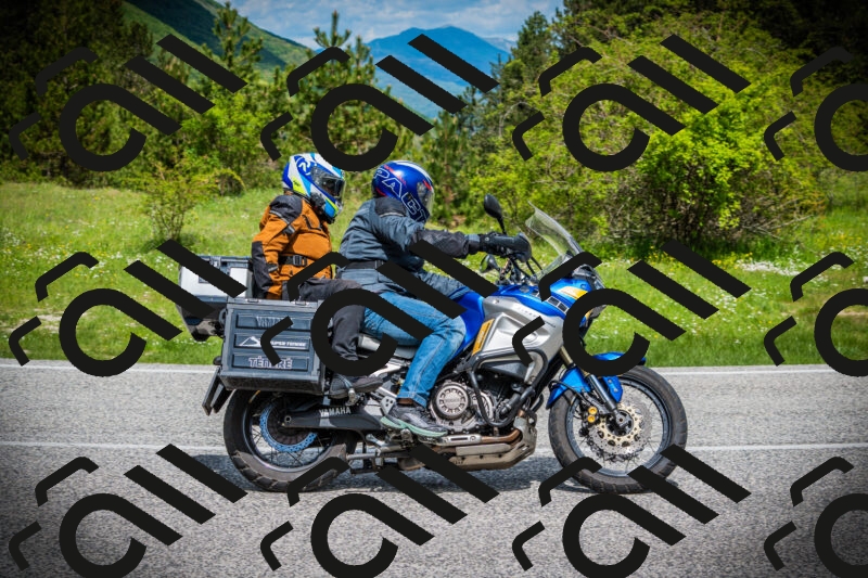 202505171036-DSC04264_c1_