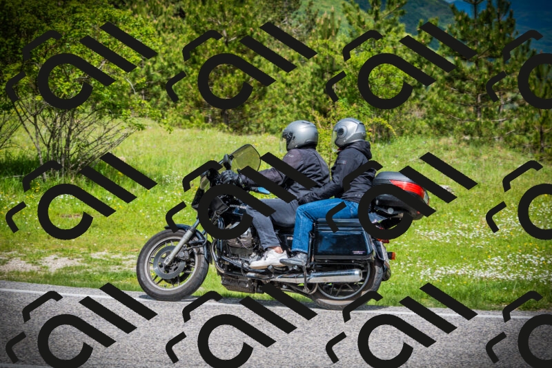 202505171037-DSC04279_c1_