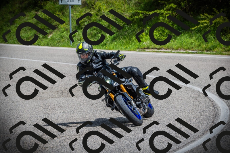 202505171038-DSC04281_c1_