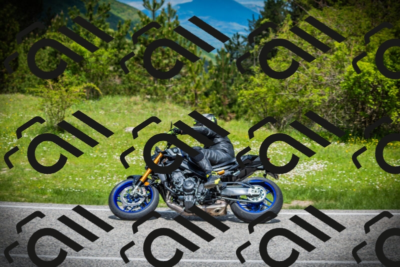 202505171038-DSC04283_c1_