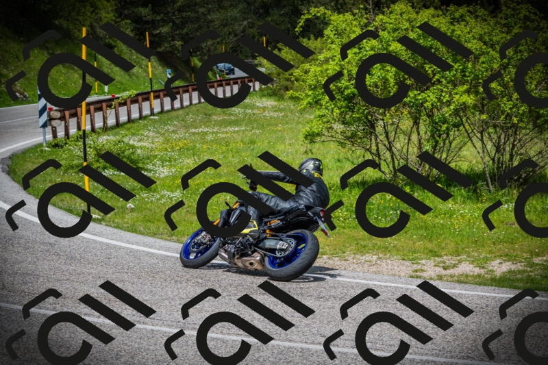 202505171038-DSC04284_c1_