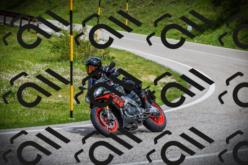 202505171039-DSC04294_c1_