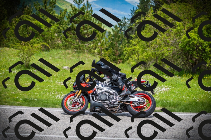 202505171039-DSC04295_c1_