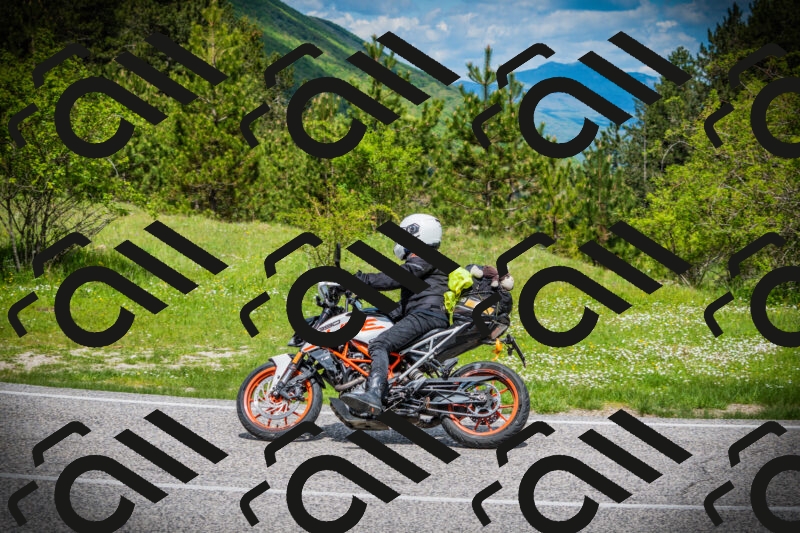 202505171041-DSC04310_c1_