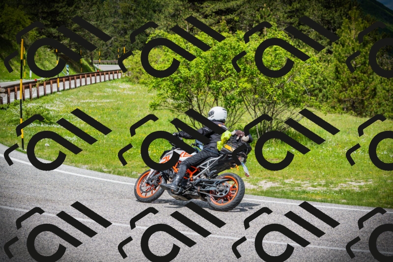 202505171041-DSC04311_c1_