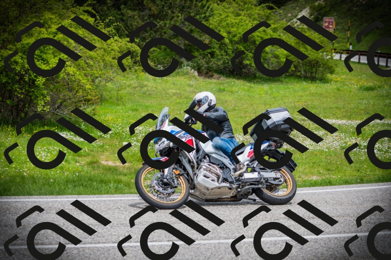 202505171041-DSC04333_c1_