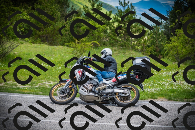 202505171041-DSC04334_c1_