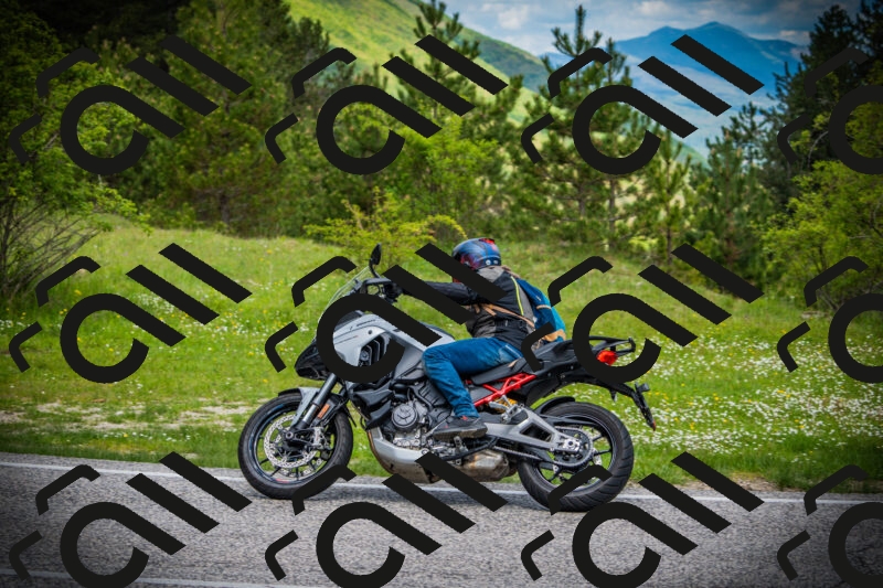 202505171042-DSC04341_c1_