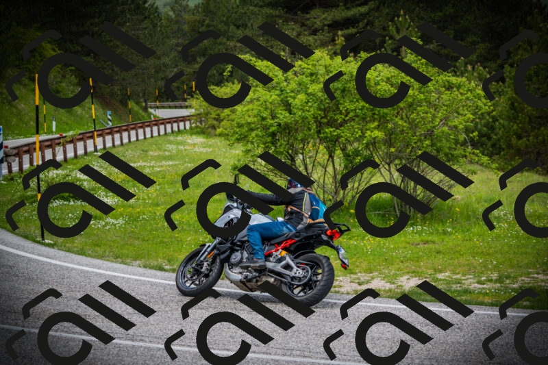 202505171042-DSC04342_c1_