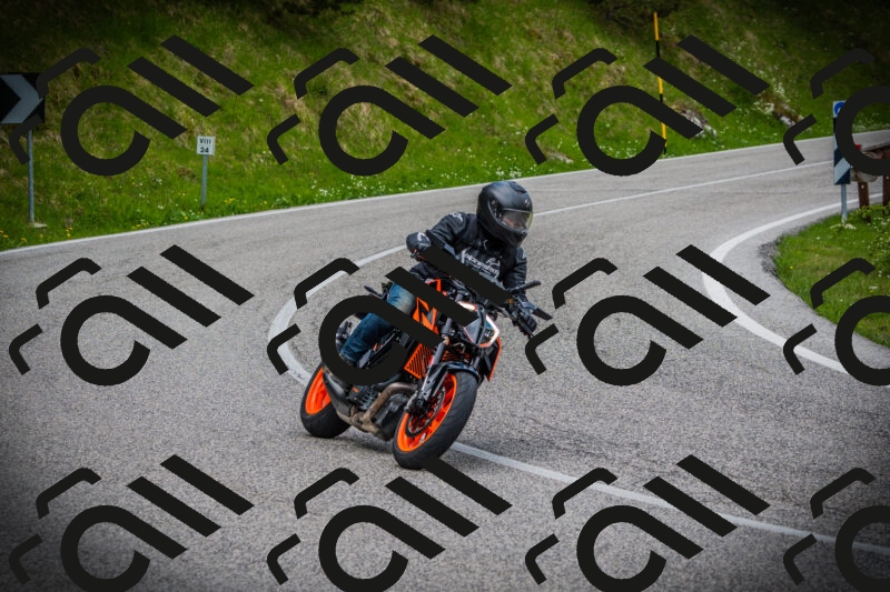 202505171043-DSC04348_c1_