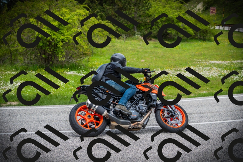 202505171043-DSC04350_c1_