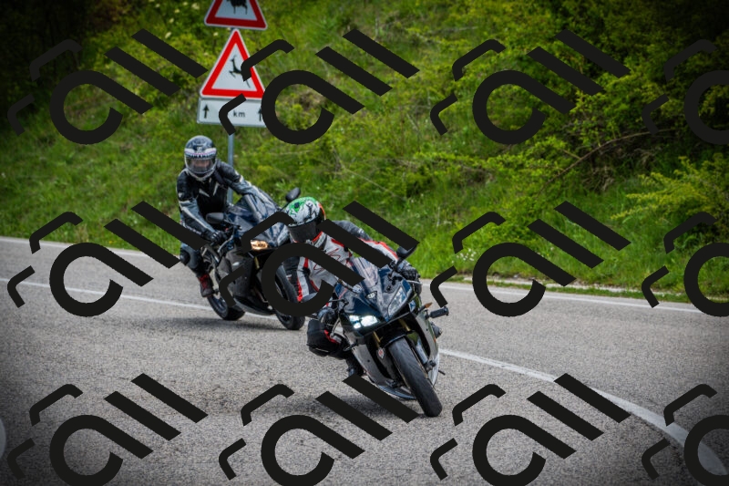 202505171044-DSC04359_c1_