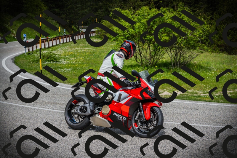 202505171045-DSC04379_c1_