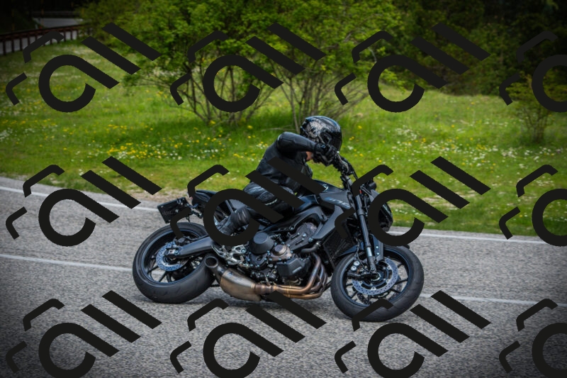 202505171050-DSC04435_c1_