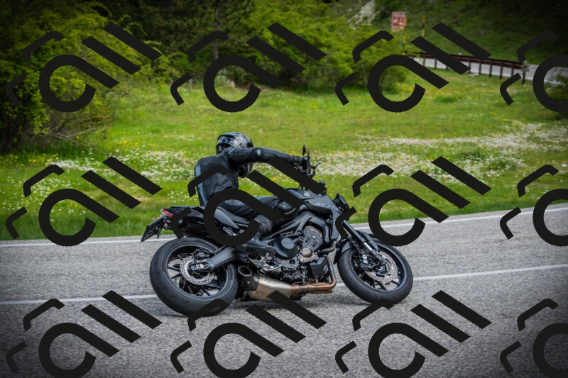 202505171050-DSC04436_c1_