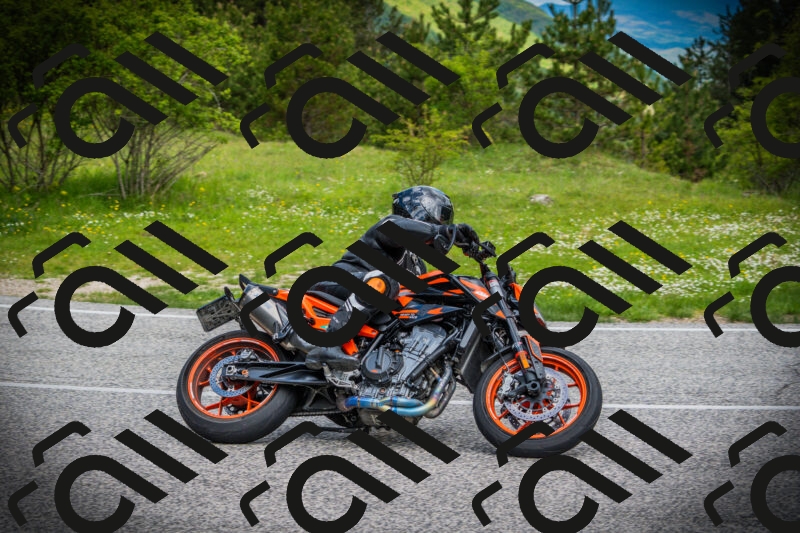 202505171050-DSC04438_c1_