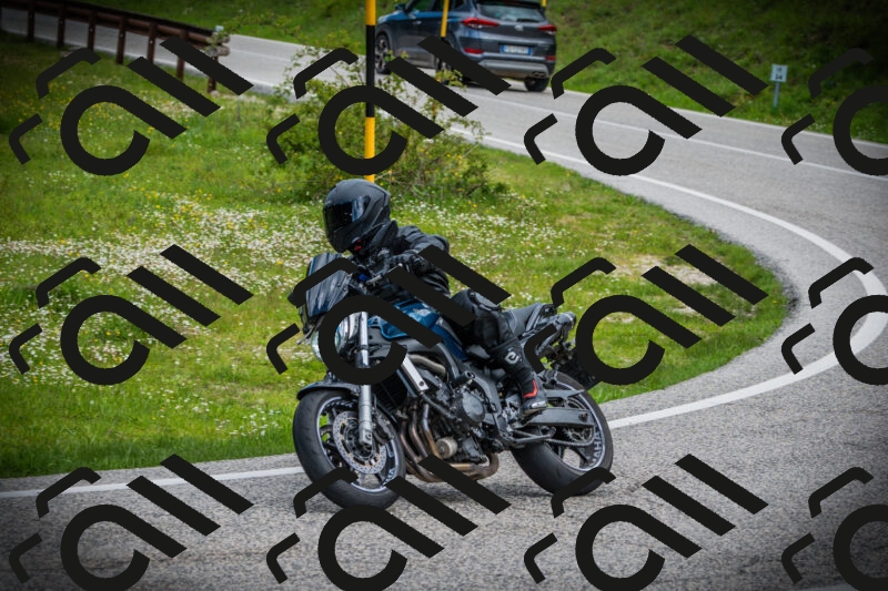 202505171053-DSC04455_c1_