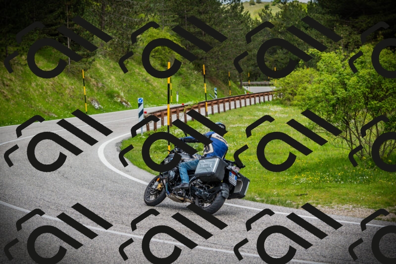 202505171054-DSC04474_c1_