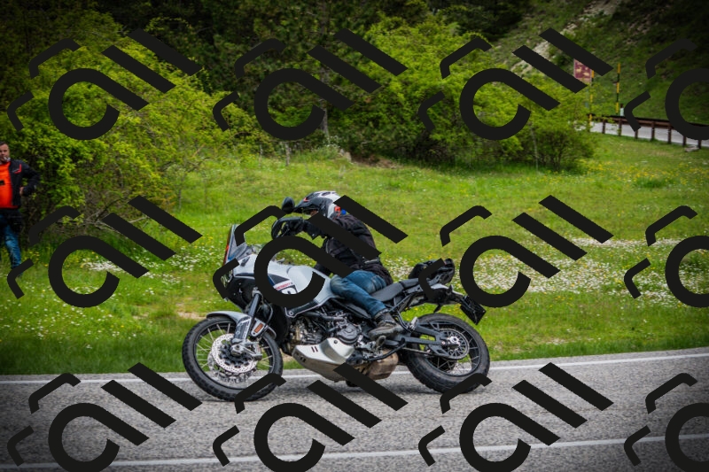 202505171055-DSC04483_c1_