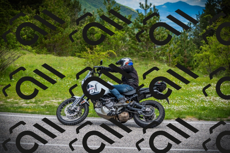 202505171055-DSC04484_c1_