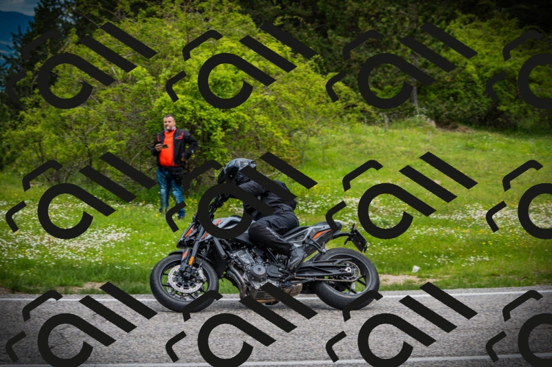 202505171055-DSC04485_c1_