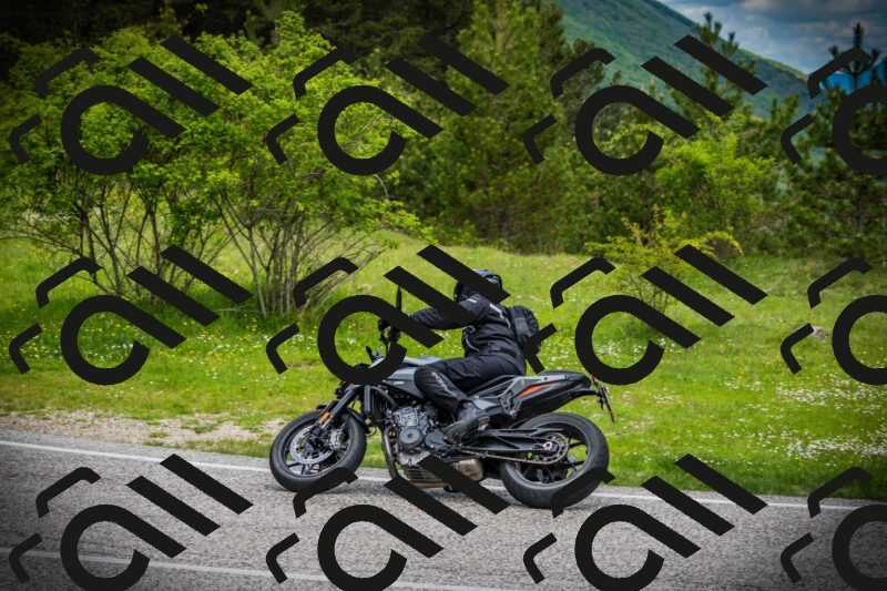 202505171055-DSC04486_c1_