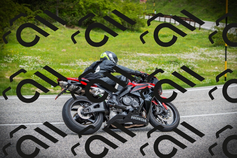 202505171055-DSC04491_c1_